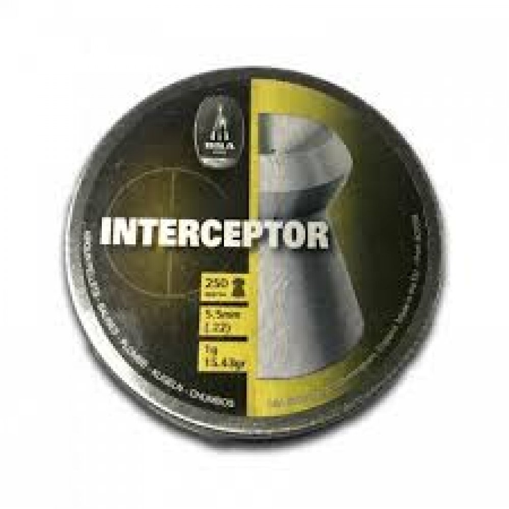 BSA_Interceptor_5_5.jpg